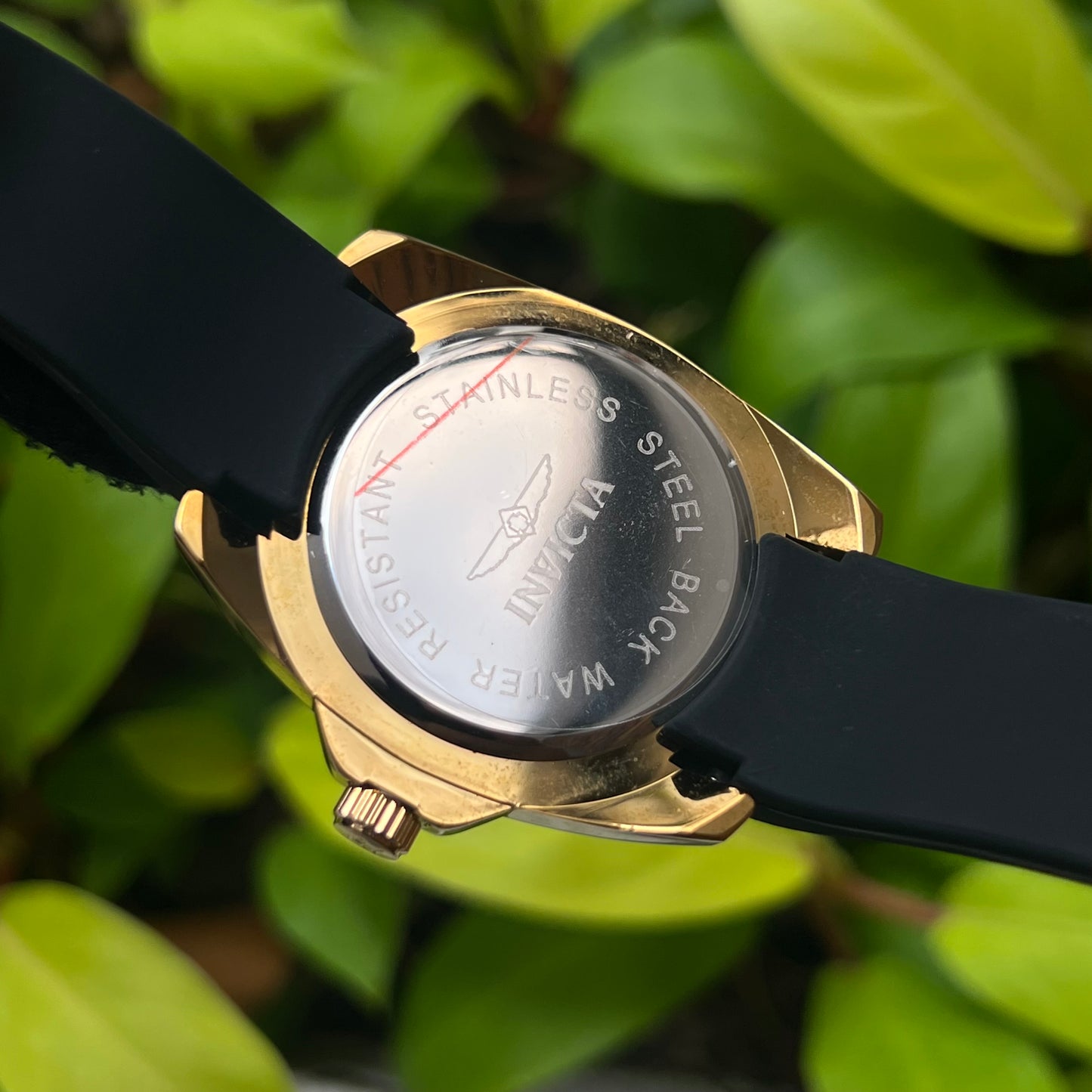 INVICTA ANGEL PARA DAMA REF2270 ND