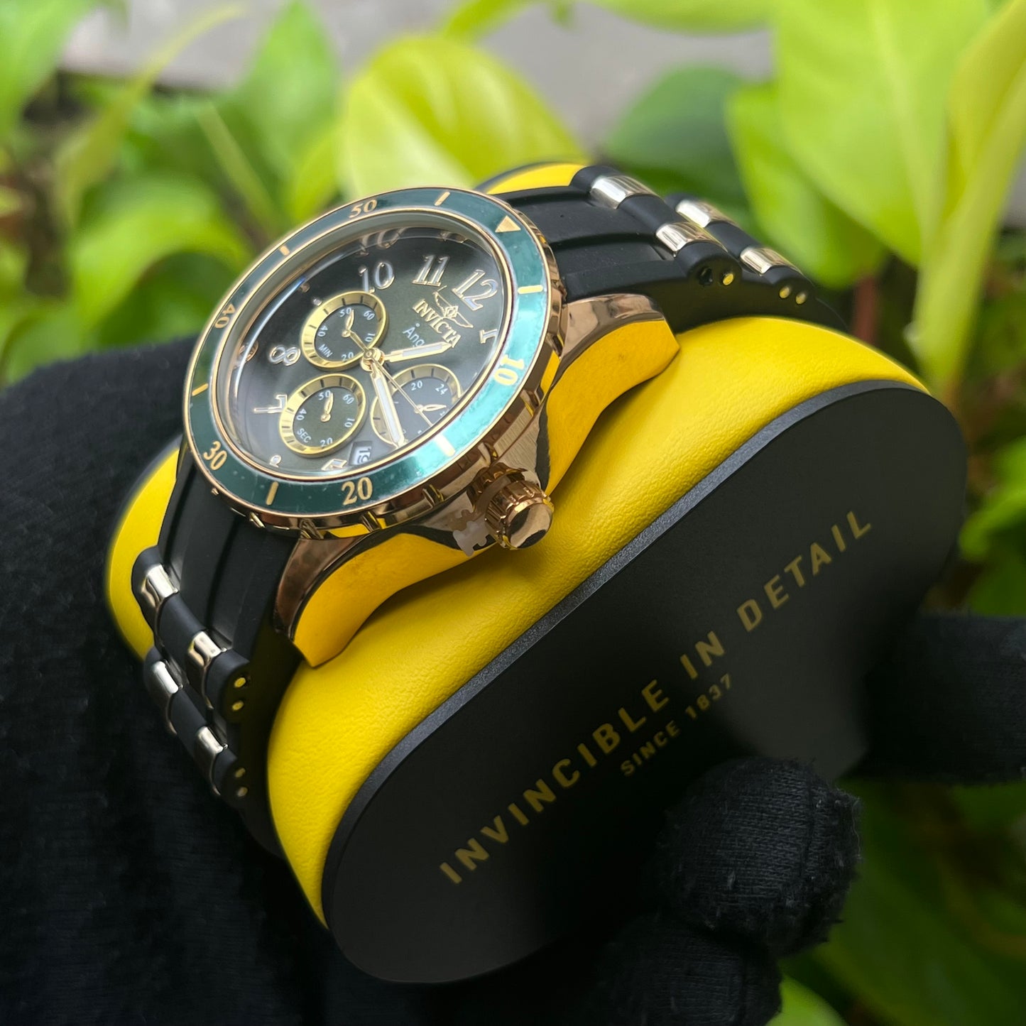 INVICTA ANGEL PARA DAMA REF2490NV
