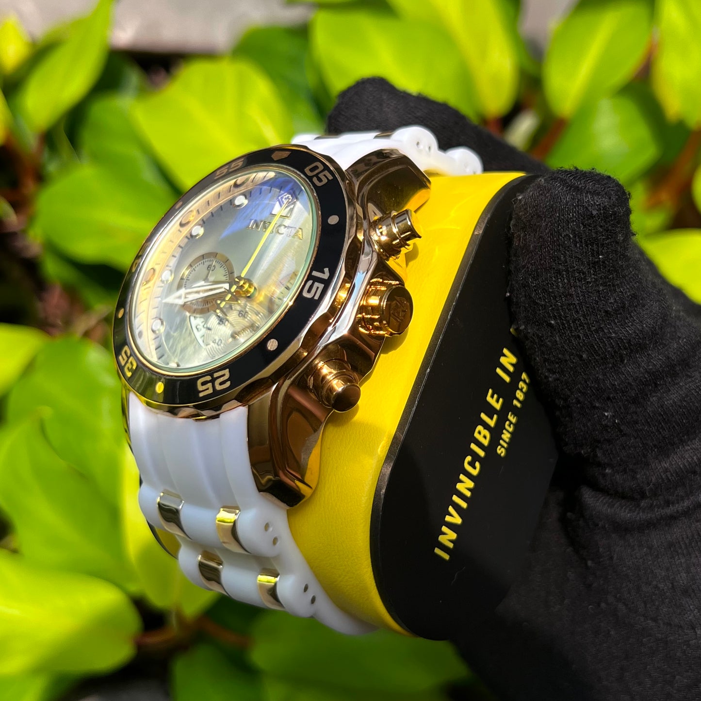 INVICTA PRO DIVER PARA HOMBRE REF BD